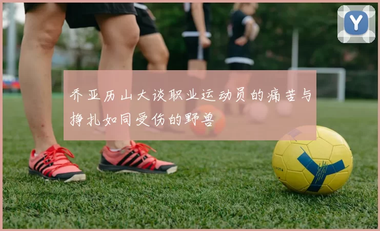 乔亚历山大谈职业运动员的痛苦与挣扎如同受伤的野兽