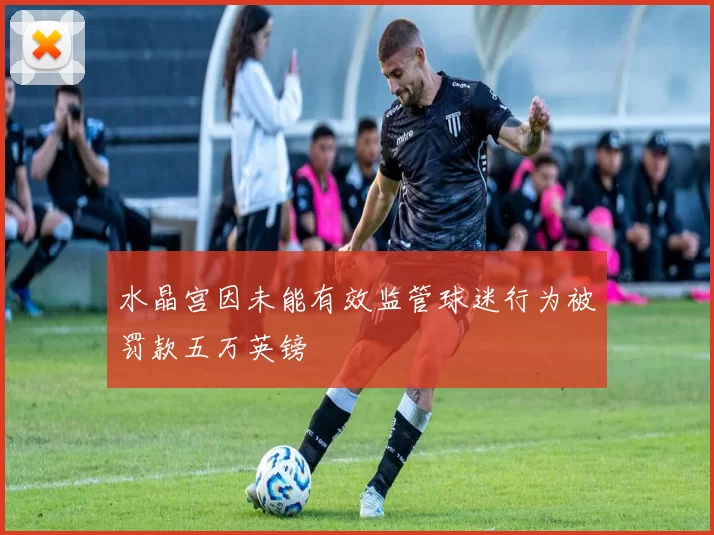 水晶宫因未能有效监管球迷行为被罚款五万英镑