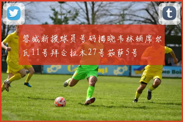 蓉城新援球员号码揭晓韦林顿席尔瓦11号拜合拉木27号茹萨5号